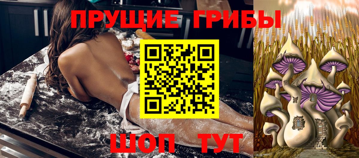Псилоцибиновые грибы прущие грибы Выкса